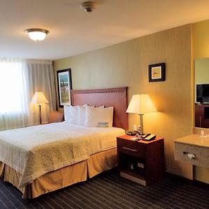 Queen Room Mobility accessible